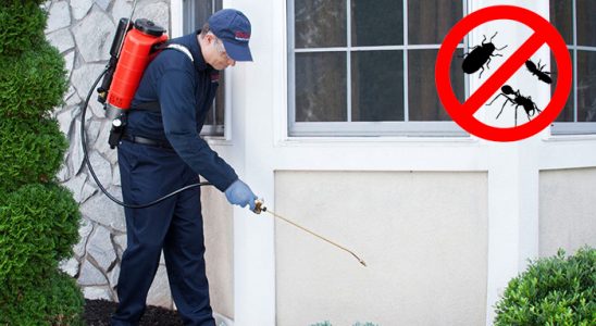 Evka 5 Sivrisinek İlaçlama böcek ilaçlama ve haşere kontrolü — ilaclama-tr.com